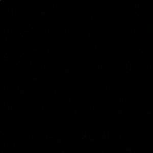 Meet your Posher, Van